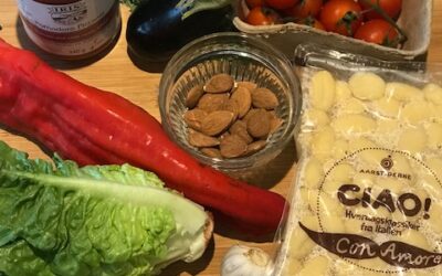Ratatouille med stekt gnocchi och krispig sallad.